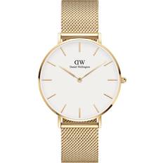 Daniel Wellington Petite Evergold (DW00100346)