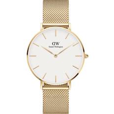Petite Evergold (DW00100346)