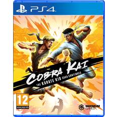 Cobra Kai: The Karate Saga Continues Ps4