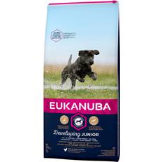 Eukanuba large junior Eukanuba Developing Junior Large Breed with Chicken