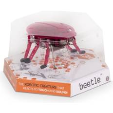 Beetle