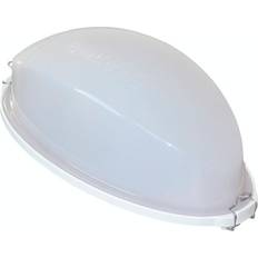 Lamp (SAS21060T)