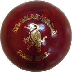 Cricketbollar Kookaburra Paceball Jr