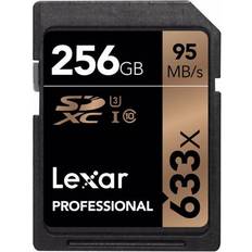 Professional SDXC Class 10 UHS-I U3 633x 256GB