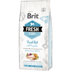 Fresh Fish with Pumpkin Adult Large Muscles & Joints