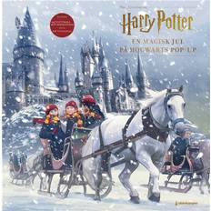 Harry Potter Julekalendere Harry Potter Julekalender 2022