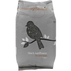 Black Sunflowers