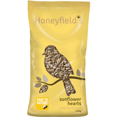 Sunflower Hearts