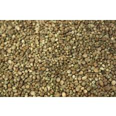 Hemp Seeds