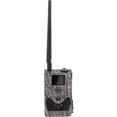 BG584G