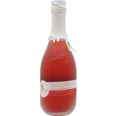Rhubarb and Raspberry Gin