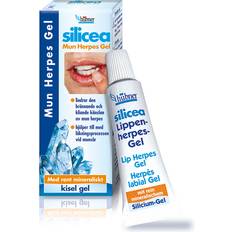 Herpes Silicea Mun Herpes 5g Gel