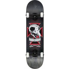 Birdhouse Stage 3 Skull 2 8.125"