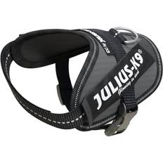 Julius-K9 IDC Powerharness Baby 2