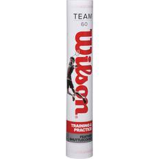 Wilson Team 12-pack
