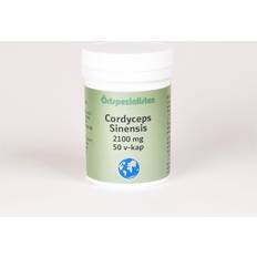 Örtspecialisten Cordyceps Sisensis 2100mg 50 st