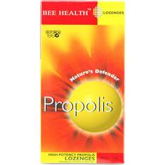 Bee Health Propolis 114g