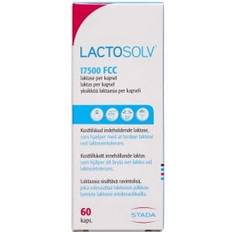 Lactosolv 17500 FCC