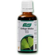 A.Vogel Ginkgo Biloba 100ml