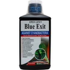 Blue Exit