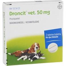 Avmaskning katt - Katter Husdjur BAYER Animal Health Droncit vet 50mg 2 Tablets