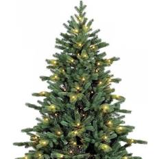 Royal Christmas Spitsbergen Juletræ 210cm