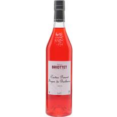Cactus Piment Figue de Barbarie 18%