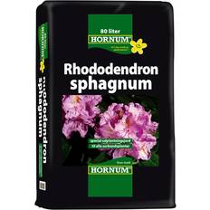 Sphagnum Hornum Rhododendron Sphagnum