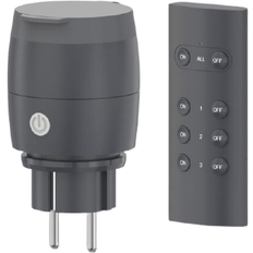 Smart outdoor plug with remote control