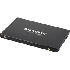 GP-GSTFS31100TNTD 1TB