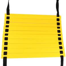Training Ladder