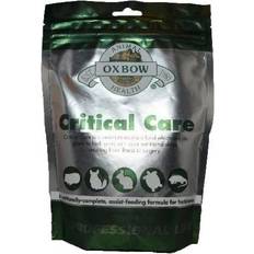 Critical Care