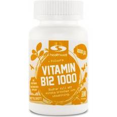 Metylerad b vitamin Healthwell Vitamin B12 1000 90 st