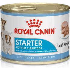 Royal Canin Cane Animali domestici Royal Canin Starter Mousse 0.2kg