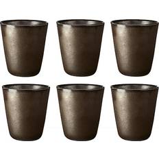 Raw titanium aida Raw Mug 25cl 6pcs