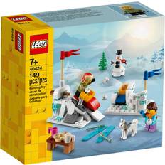 Lego winter LEGO Winter Snowball Fight 40424