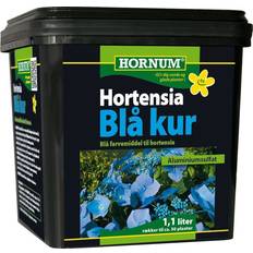 Hornum Krukker, Planter & Dyrkning Hornum Hydrangea Blue Cure