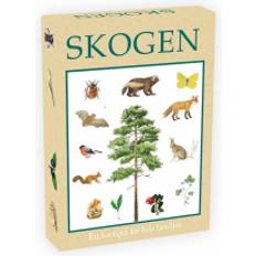 Spel skogen Skogen