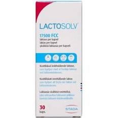 Lactosolv 17500 FCC
