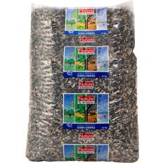 Sunflower Seeds