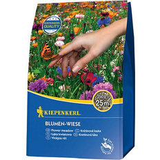 Graines de fleurs Kiepenkerl Blumen Wiese