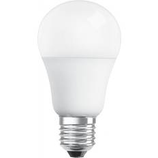 Dagslys LED-pærer 1851-7577