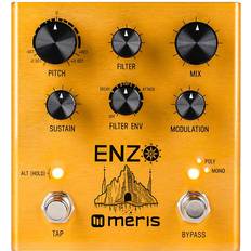 Meris Enzo Pedal Sintetizador