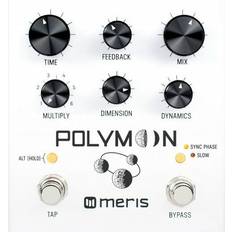 Meris Polymoon Efecto de guitarra