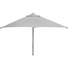 Major Parasol