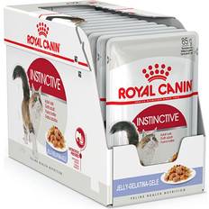 Royal Canin Instinctive Jelly