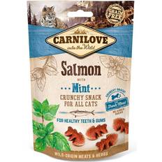 Carnilove Katter Husdjur Carnilove Salmon with Mint for Cat 0.1kg