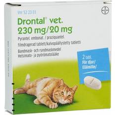 Avmaskning katt - Katter Husdjur Bayer Drontal Vet 230mg/20mg 2 Tablets