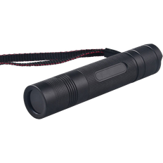 Rav lygte UV Flashlight 5W