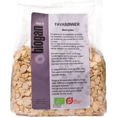 Fava Beans Eco